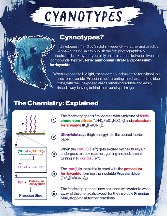 informational sheet on how cyanotypes work